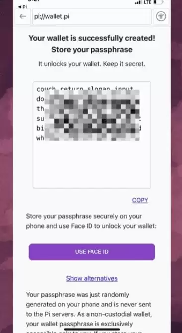 如何设置 Pi wallet：逐步指南_图7