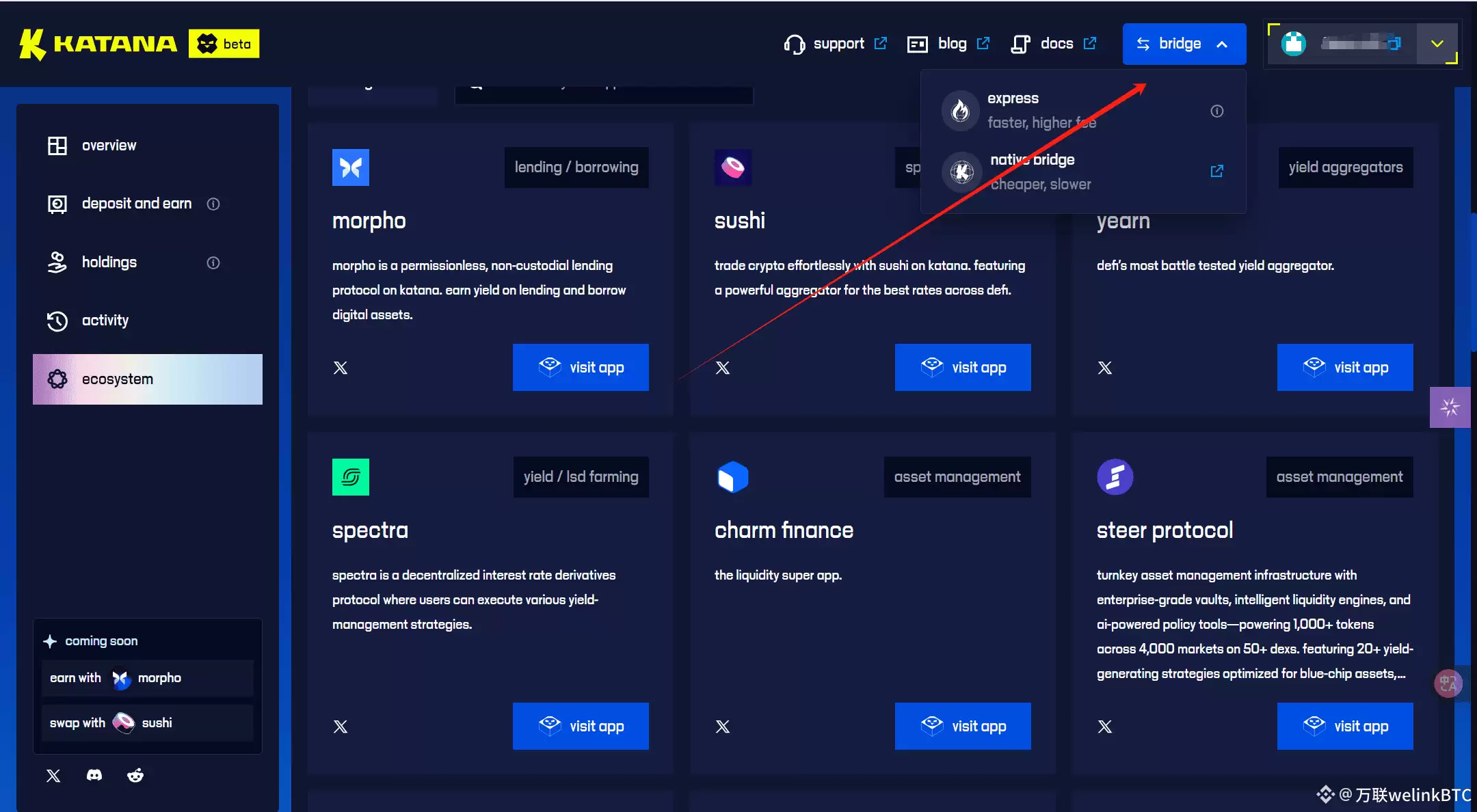 专为DeFi设计的公链Katana详细交互教程