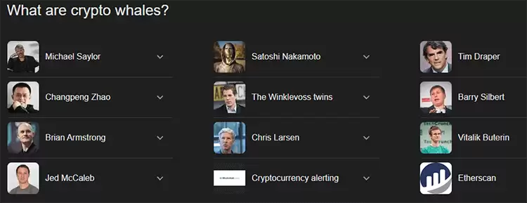 加密货币巨鲸详细介绍