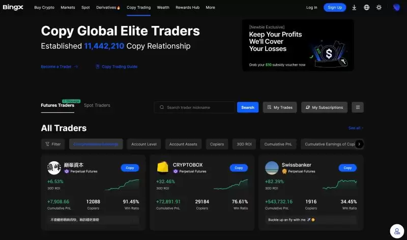 Bingx 跟单交易