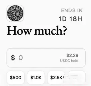 MetaDAO参与公募教程