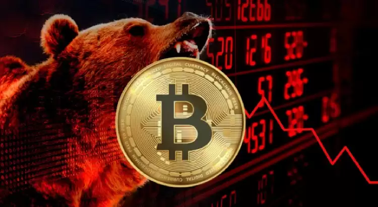 加密熊市赚钱策略