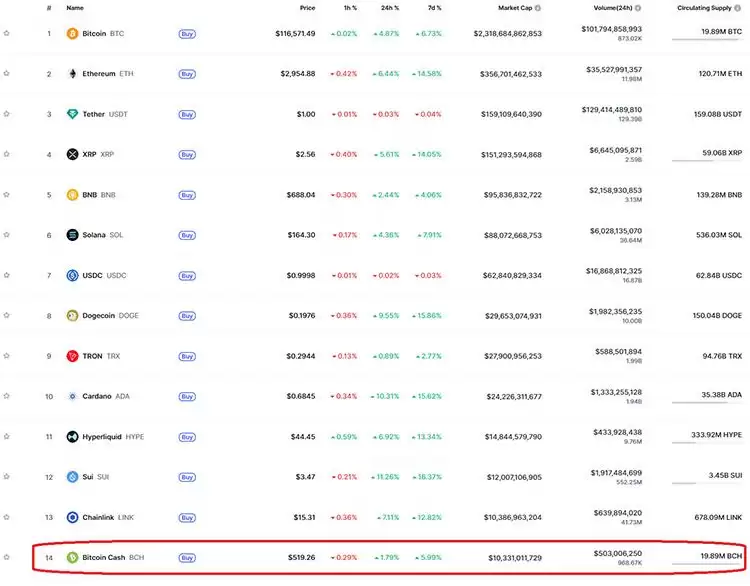 比特币现金（BCH币）是什么？2025年还有上涨空间？BCH未来展望