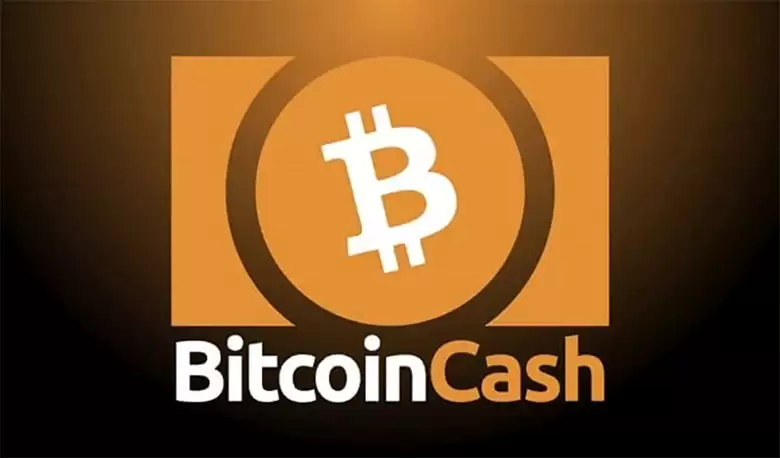 比特币现金(BCH)币是什么？与比特币有何差异？如何使用币安购买BCH？