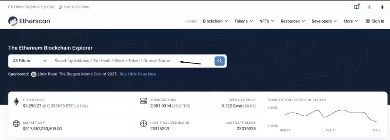 加密货币巨鲸追踪