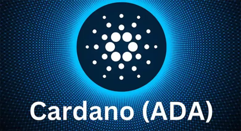 Cardano（ADA)币未来展望：ETF、生态系统和价格预测介绍