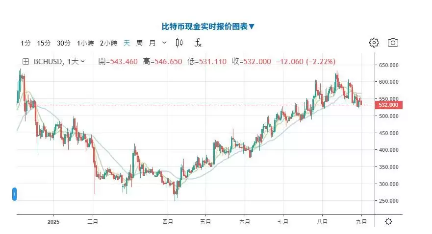 比特币现金（BCH币）是什么？2025年还有上涨空间？BCH未来展望
