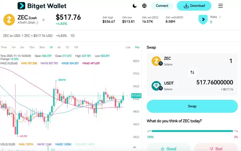 Zcash(ZEC)币价格预测