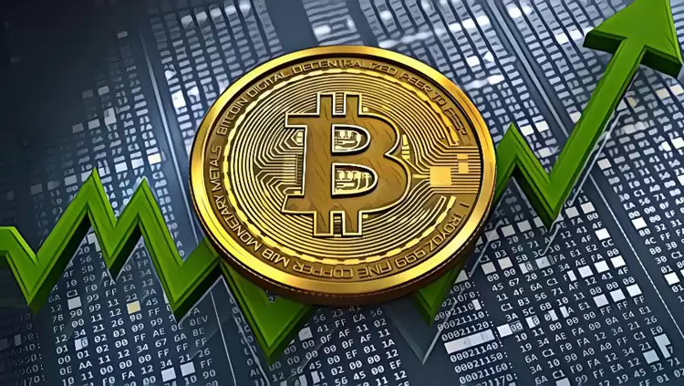 对话ProCap BTC合伙人：比特币牛市尚未结束 回调将比以往更温和