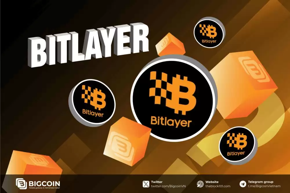 什么是Bitlayer(BTR币)？值得投资吗？BTR币投资价值、代币经济学及价格预测