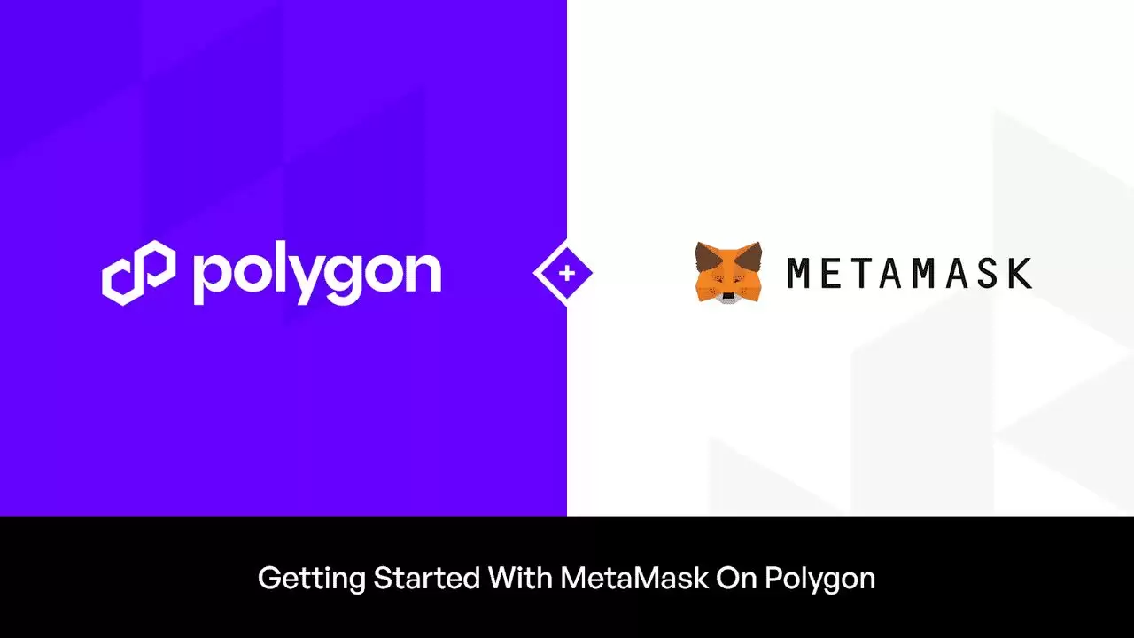 为什么要将Polygon 网络连接到MetaMask？