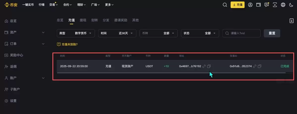 Bybit（电脑版/网页版）交易所充值和提现操作方法_图28