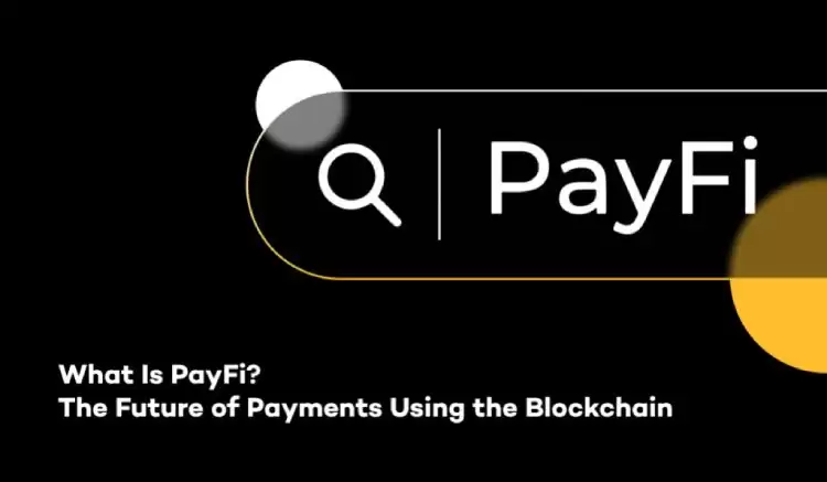 什么是PayFi(支付金融)?2025最值得关注的PayFi项目推荐
