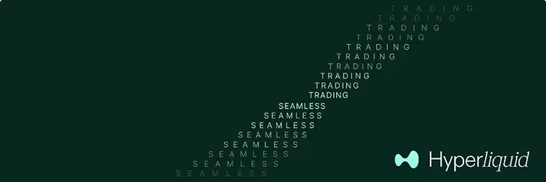 Hyperliquid 交易所介绍：HYPE 币用途、优缺点、项目前景一次看懂！