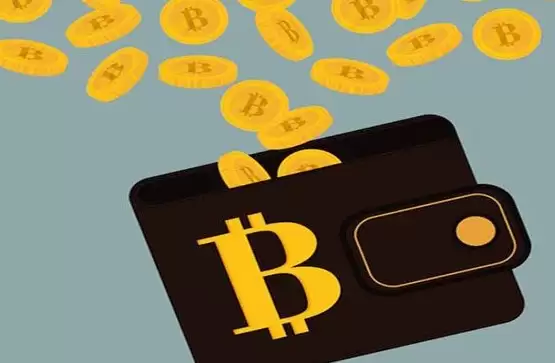 什么是比特币wallet？比特币存储指南