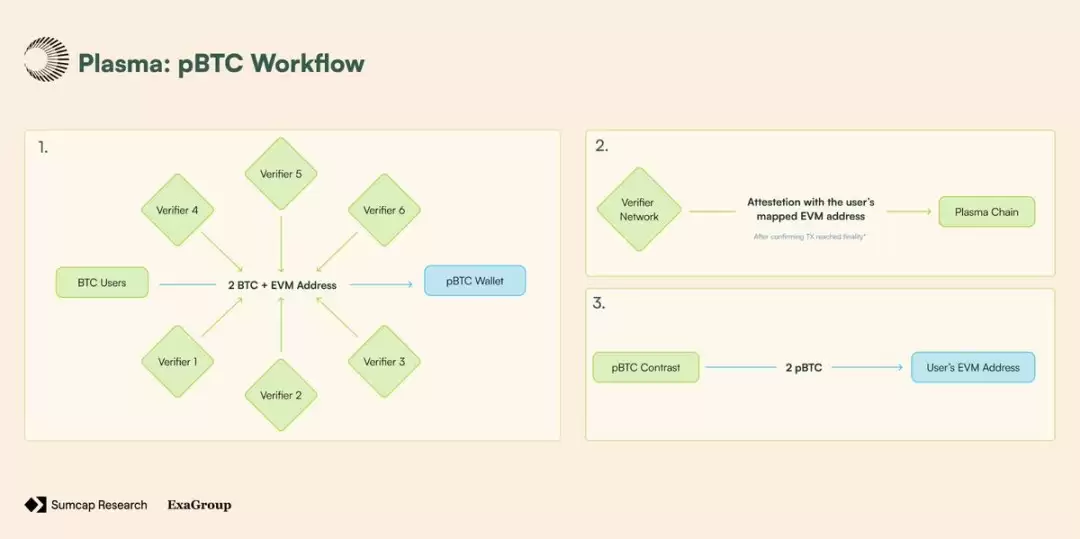 Plasma对链上支付影响