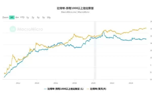 比特币投资已成为趋势?新手如何参与?比特币投资教学指南