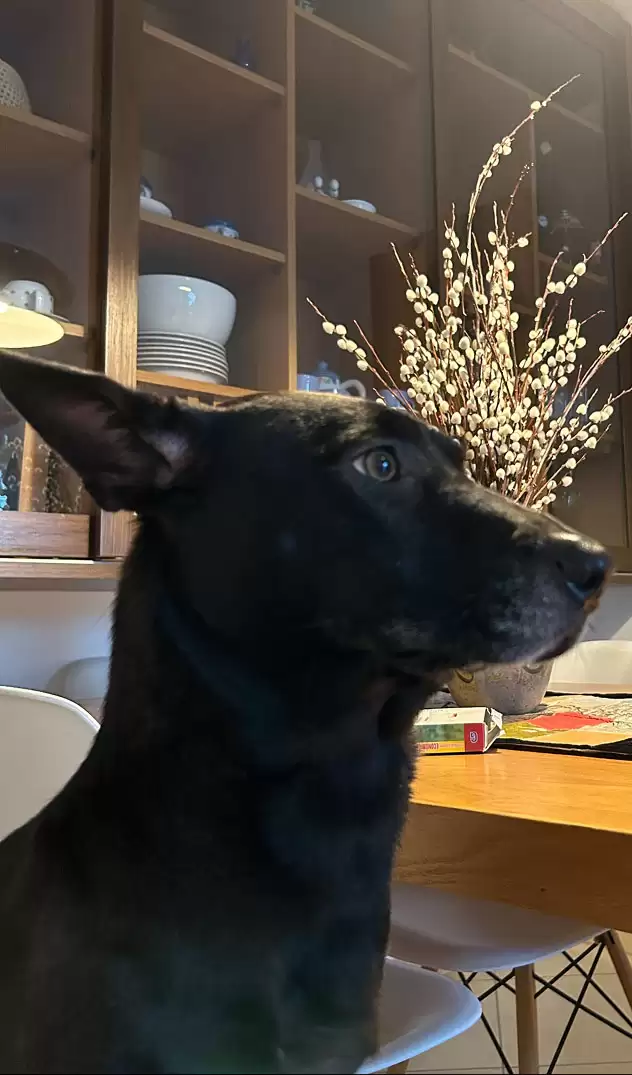 币安支付:可以使用加密货币购买可乐或其他商品了? 怎么买？