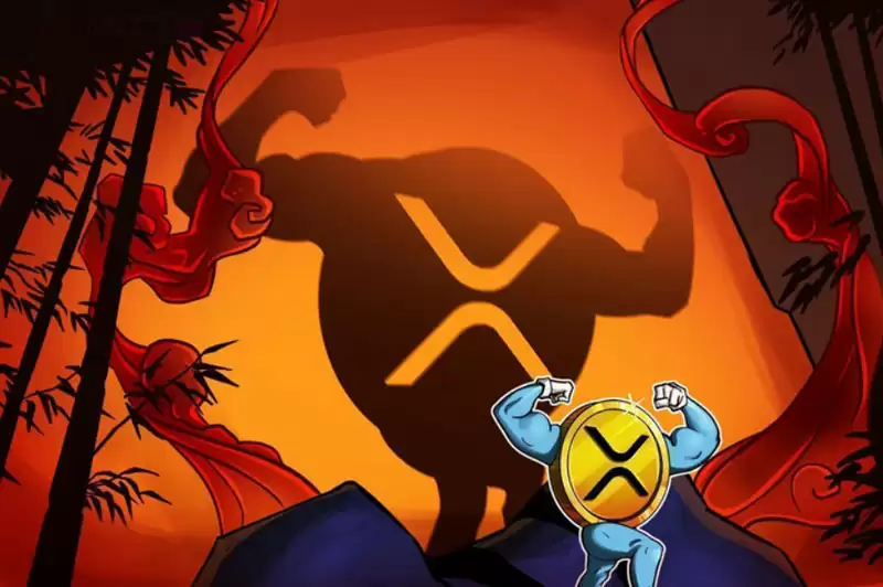 XRP 是新的比特币吗？为什么华尔街不能停止谈论其 ETF