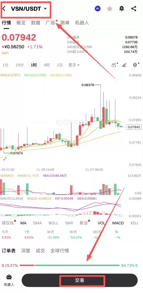 Vision(VSN)币购买