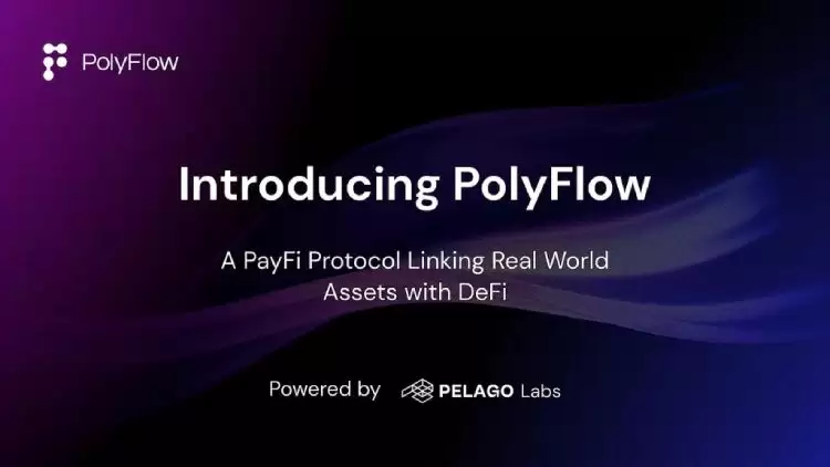 什么是PayFi(支付金融)?2025最值得关注的PayFi项目推荐