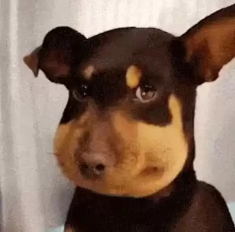 七大中文Meme币是哪些？谁有机会上线币安主站？一文详解