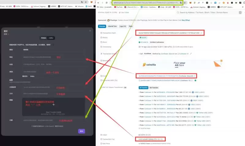 Codatta(XNY币)值得投资吗？未来潜力怎么样？XNY代币经济、空投、未来前景介绍