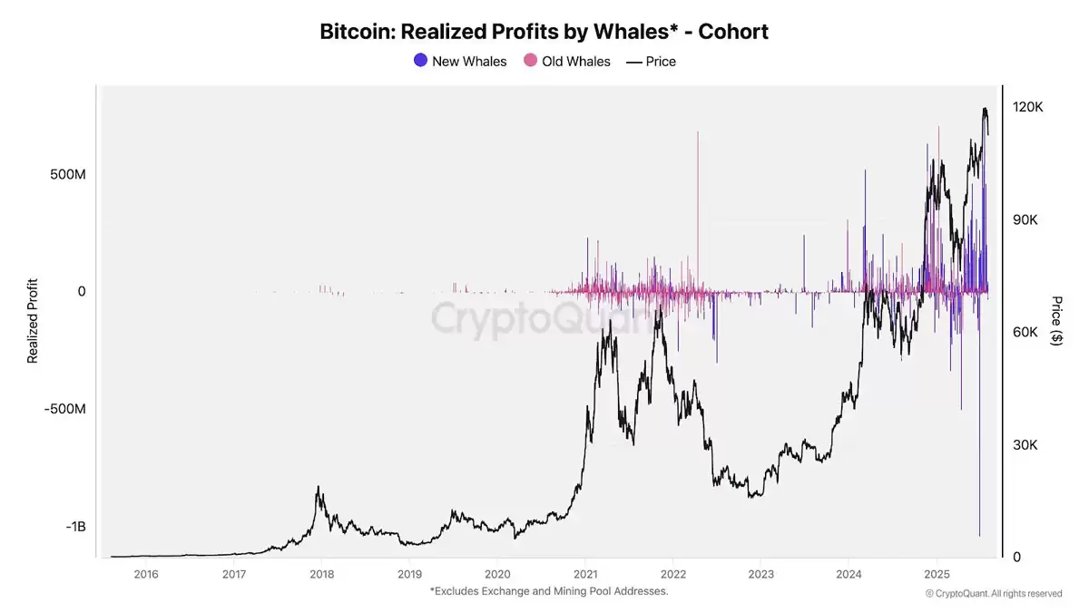 比特币巨鲸抛售 96 亿美元背后：技术面与链上数据齐鸣，15 万美元目标在望？