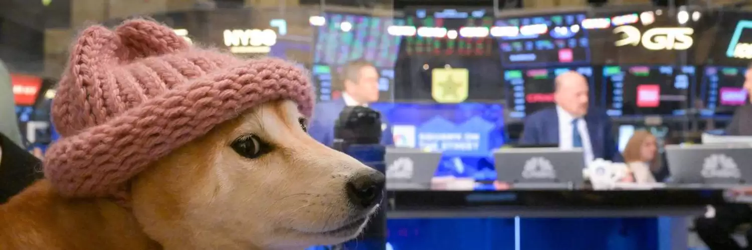 Dogwifhat (WIF)币是什么？从迷因到数十亿美元的市值:代币经济学、风险介绍