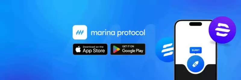 Marina Protocol(BAY)币具体介绍