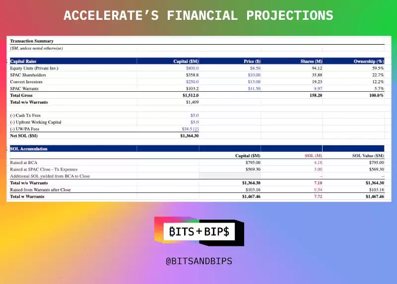 Solana 财库解析:2025 年主要企业和机构SOL 持有者介绍