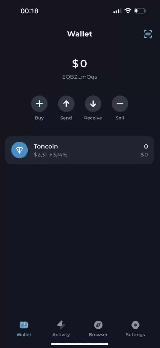 如何为TON生态系建立并设定Tonkeeperwallet？wallet设置指南