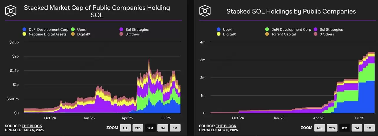Solana 财库解析:2025 年主要企业和机构SOL 持有者介绍