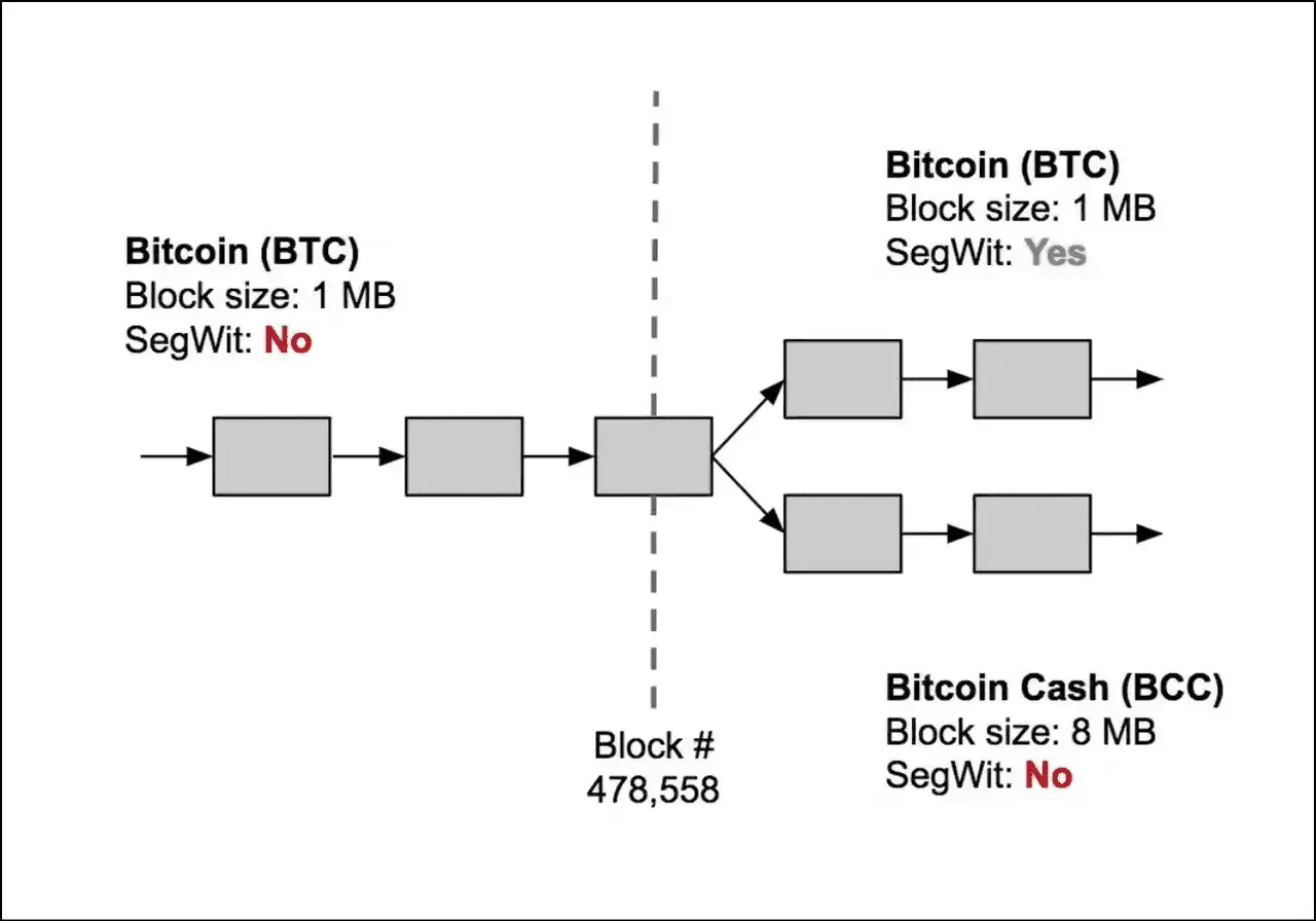 比特币 vs 比特币现金：数字黄金与数字现金