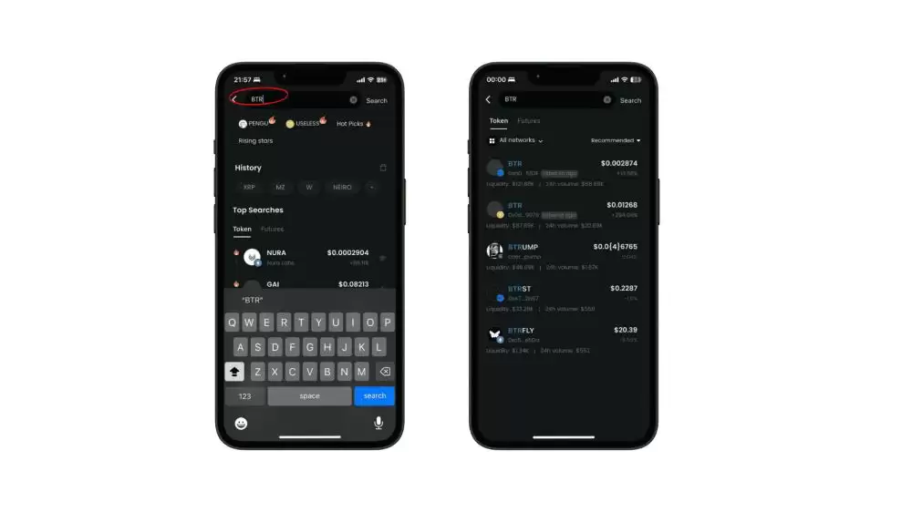 什么是Bitlayer(BTR币)？值得投资吗？BTR币投资价值、代币经济学及价格预测