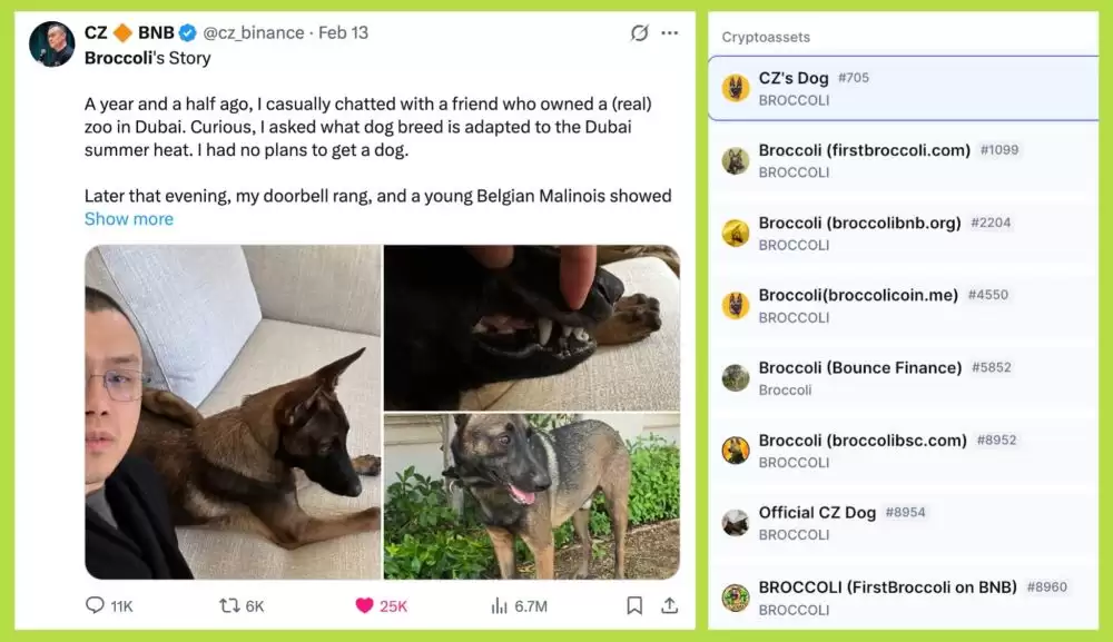 BNB链上最热门的meme币盘点