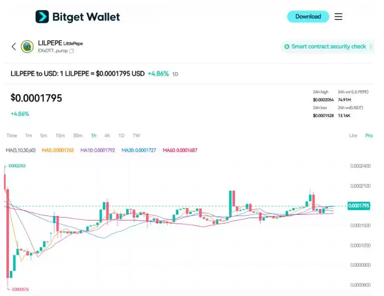 什么是Little Pepe(LILPEPE币)？它为何重要？关于LILPEPE币你要知道的一切