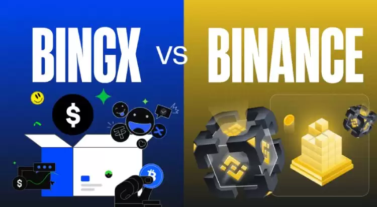 币安与BingX交易所对比分析