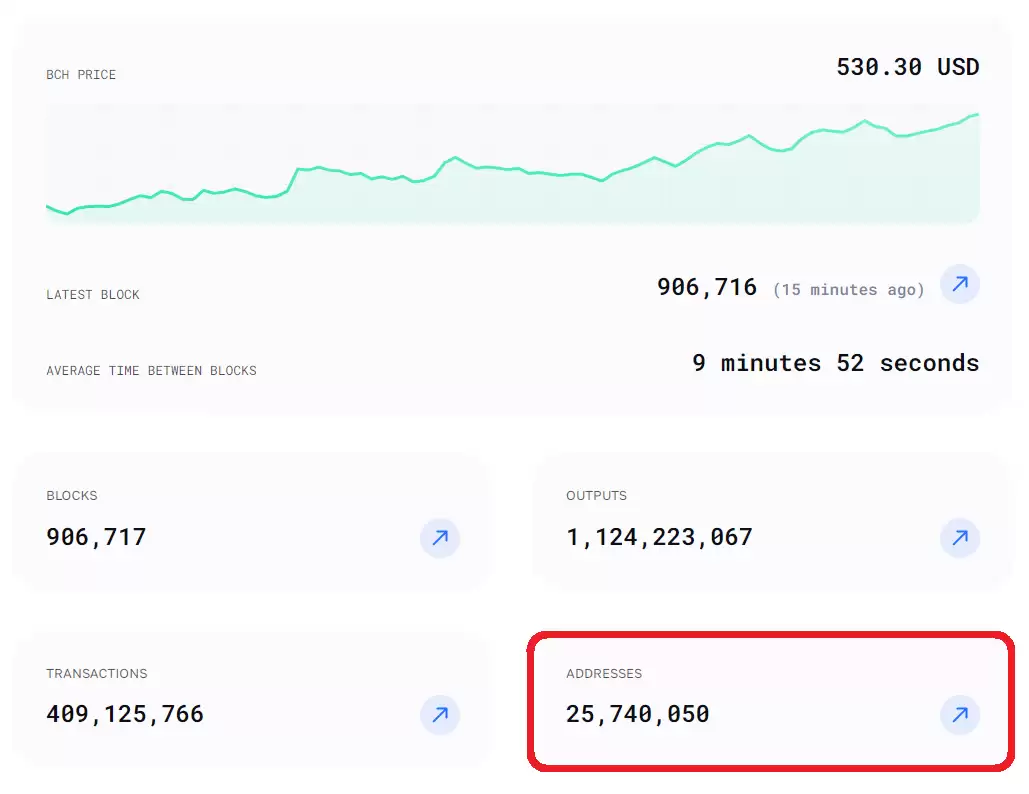 什么是比特币现金（BCH币）？如何购买及未来趋势