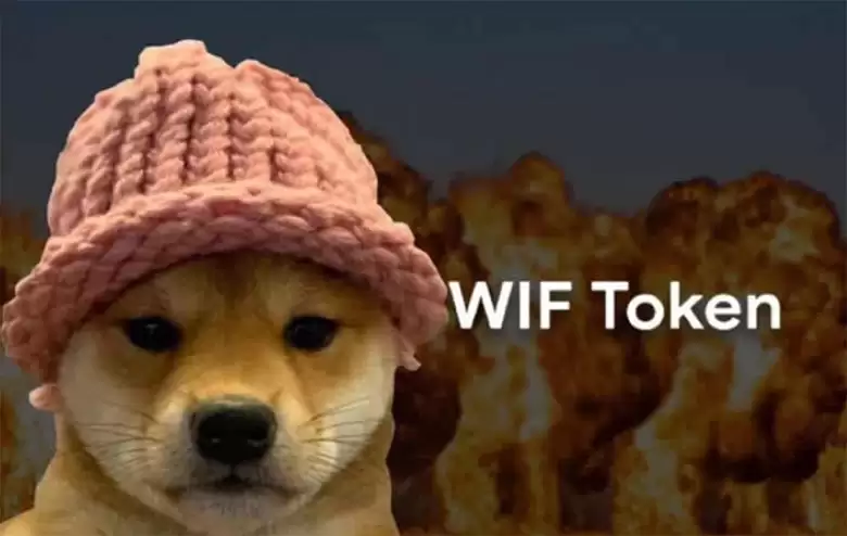 Dogwifhat (WIF)币是什么？从迷因到数十亿美元的市值：代币经济学、风险介绍