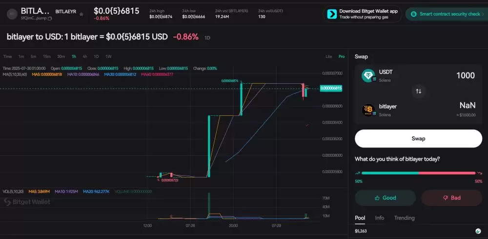 什么是Bitlayer(BTR币)？值得投资吗？BTR币投资价值、代币经济学及价格预测