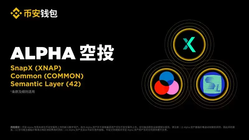 COMMON币全面介绍