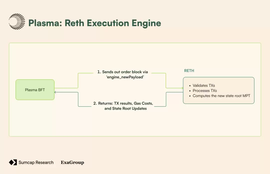 Plasma对链上支付影响
