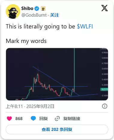 WLFI币价格预测2025-2030年:未来走势如何？能涨到多少？