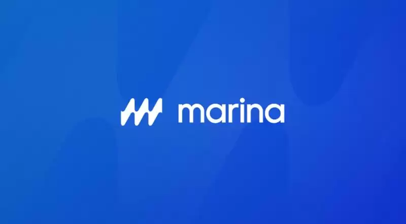 Marina Protocol(BAY)币具体介绍