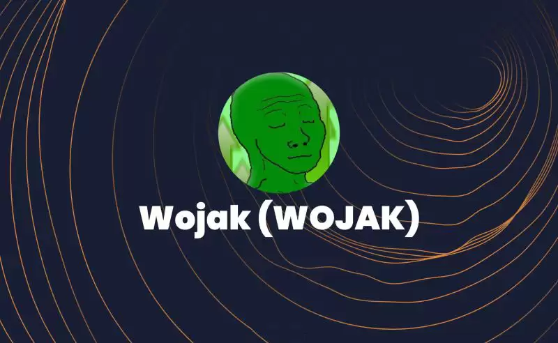 Wojak(WOJAK币)是什么？值得投资吗？关于WOJAK币的全面指南