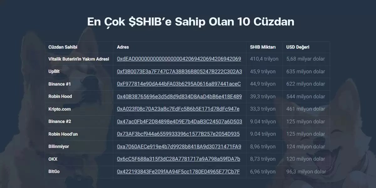 柴犬币（SHIB）是什么？如何购买？SHIB价格预测2025-2040年