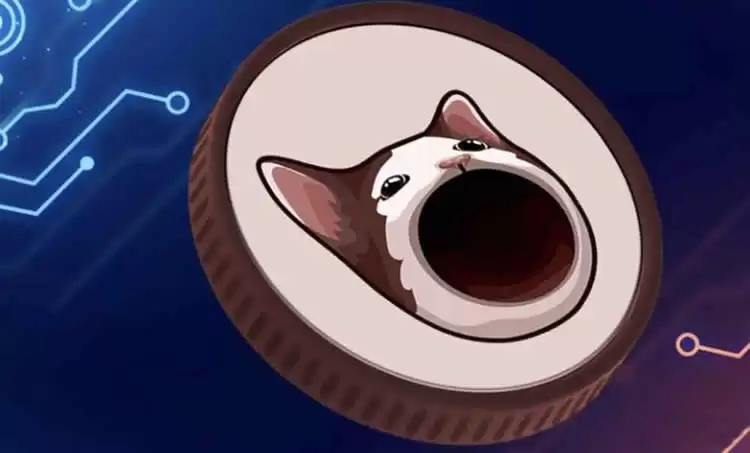 2025年下半年潜力最大的5个猫咪主题迷因币盘点