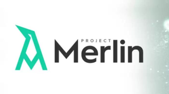 Project Merlin(MRLN)币介绍
