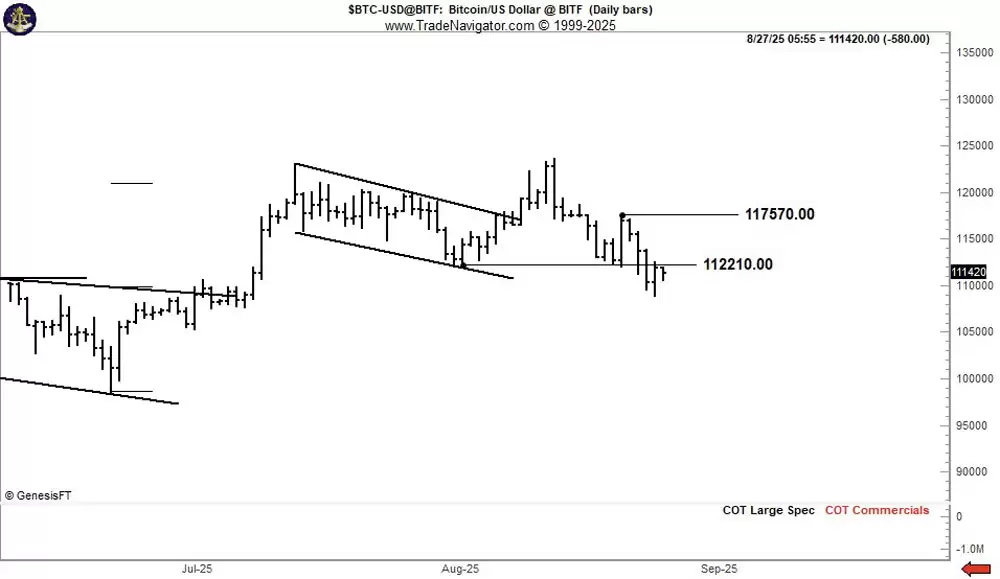 比特币（BTC）无视新“OG”巨鲸抛售，价格升至113,000美元